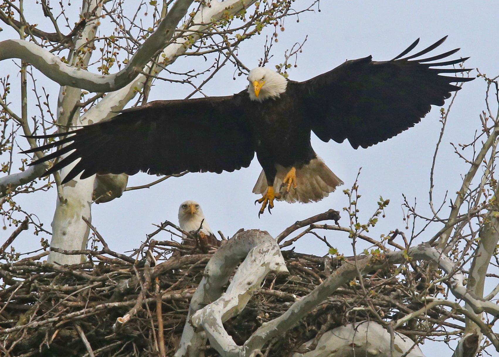 Thirty of JB Forbes' favorite photos from 2019